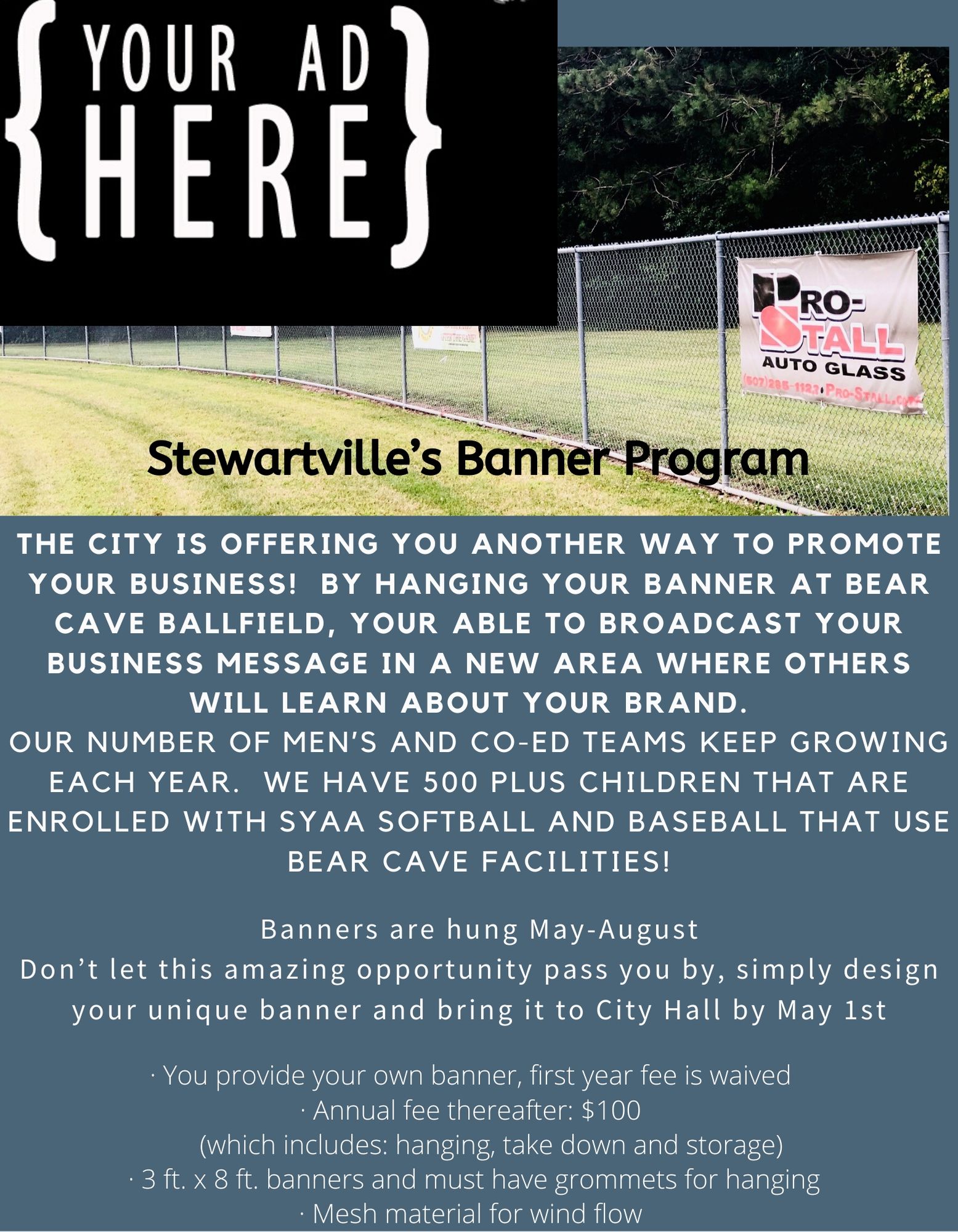 Bear Cave Business Banners City of Stewartville, Minnesota